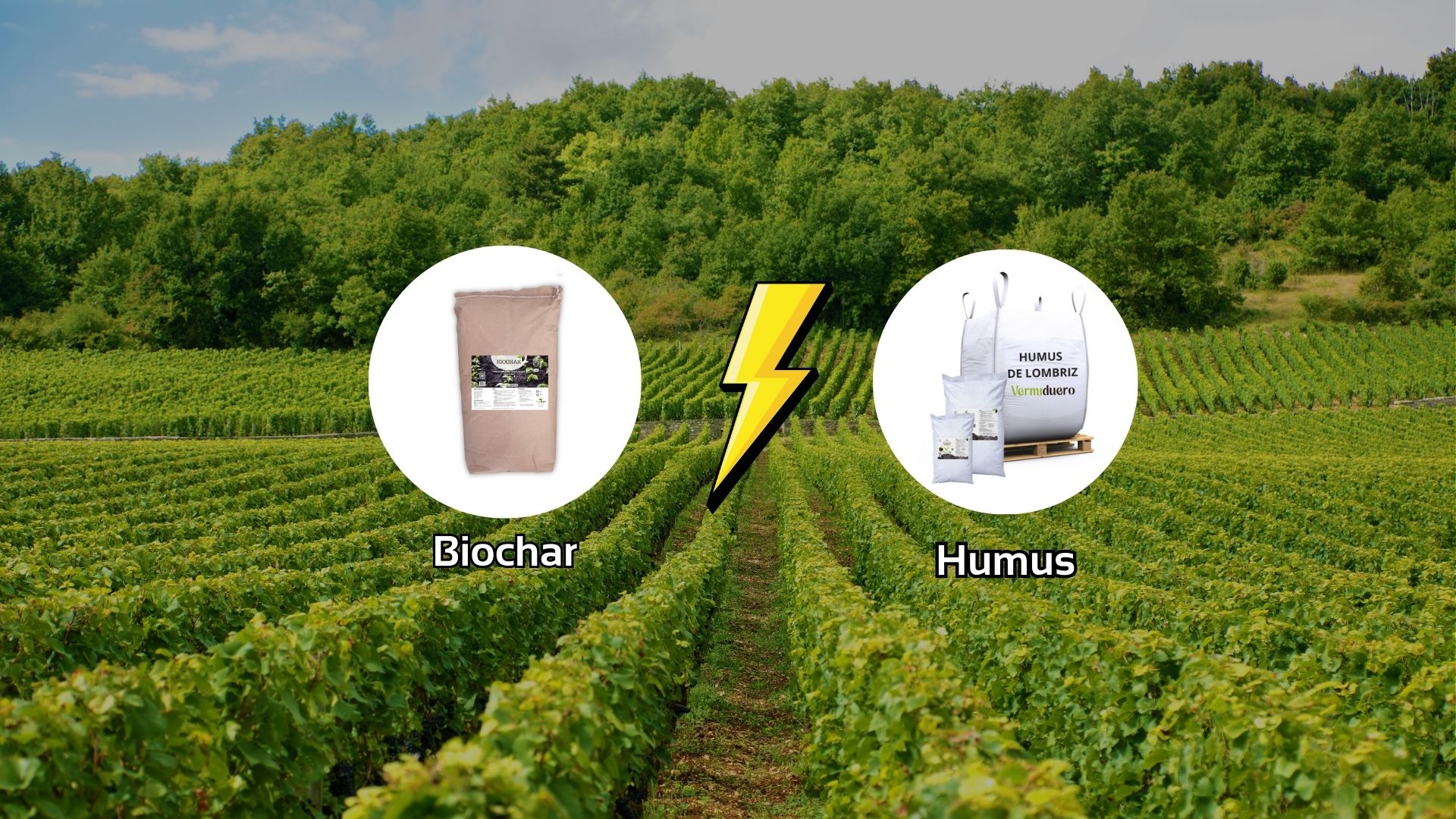 biochar y humus