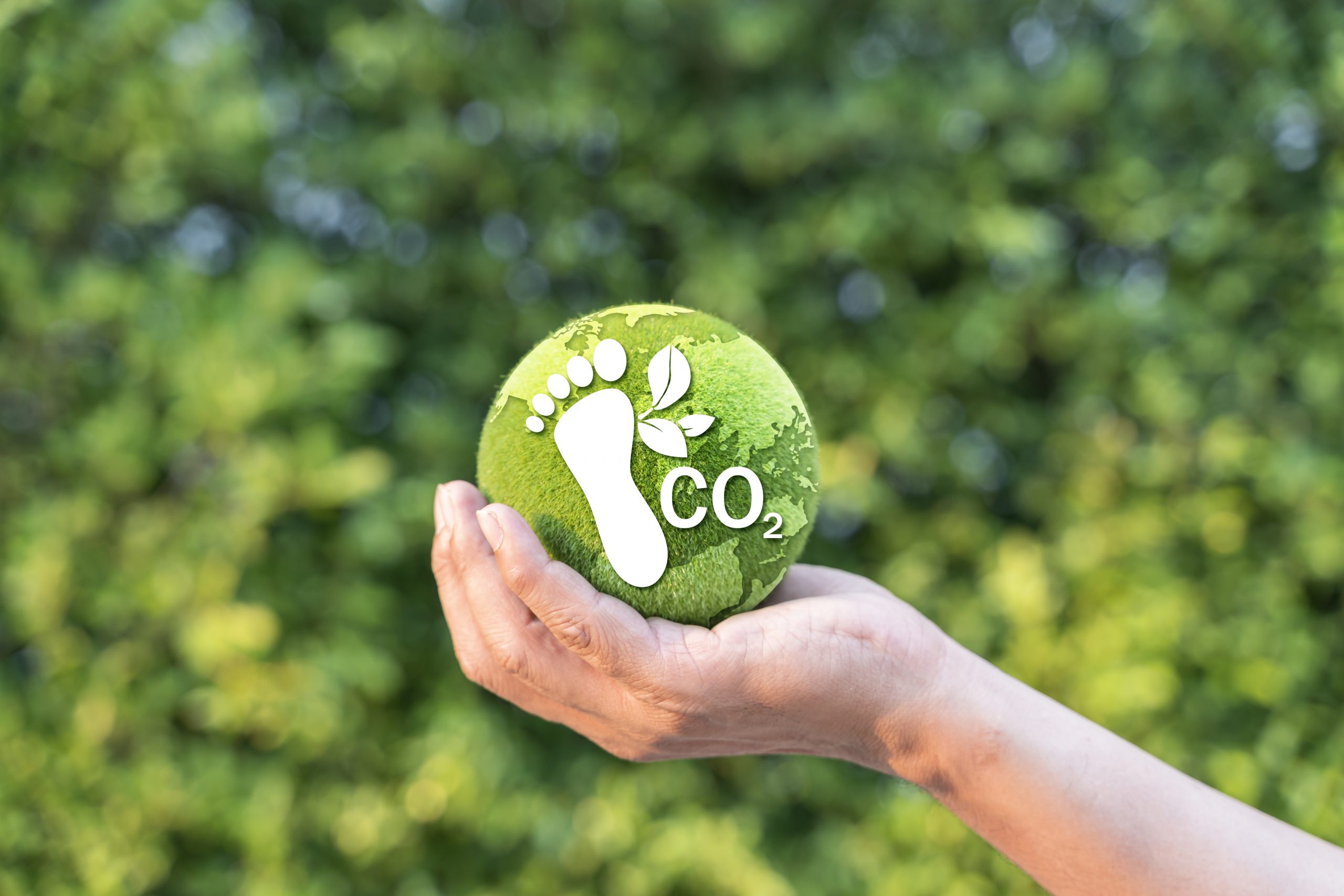 huella de carbono agrícola