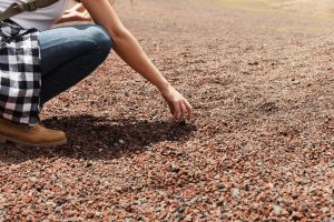 el suelo agrícola en invierno