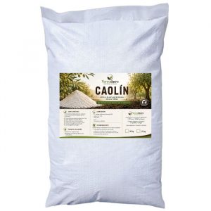 CAOLIN SACO
