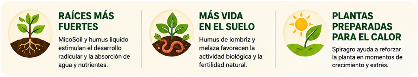 promo semana 1
