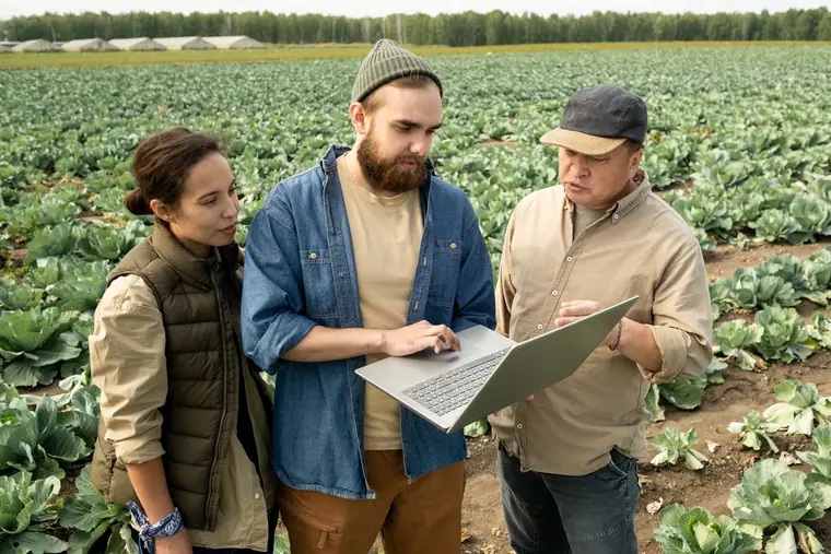 Asesoramiento técnico agrícola