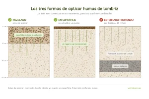 Comparación de las tres formas de aplicar humus de lombriz: mezclado, en superficie y enterrado profundo